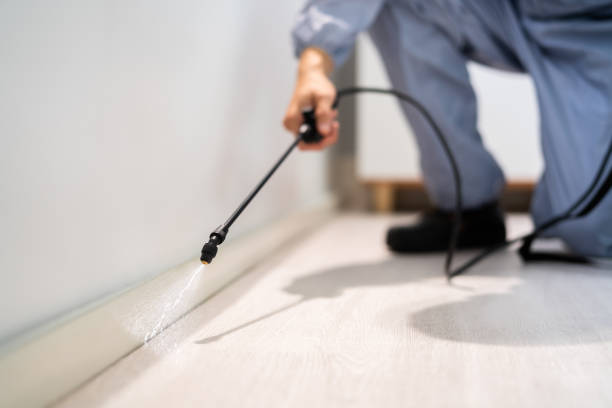 Professional exterminator conducting IPM assessment in Meadowbrook